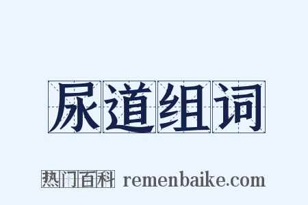 尿道组词是什么意思的图片